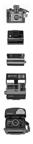 polaroids